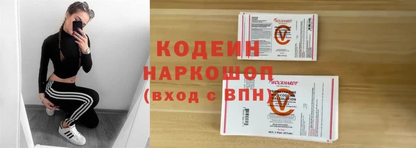 прущие грибы Алексин